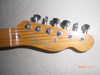 telecaster Modified 4.JPG